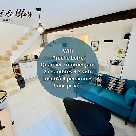 2 Suites, Cour Privee, Climatisation, Le Nid De Blois Vienne Εξωτερικό φωτογραφία