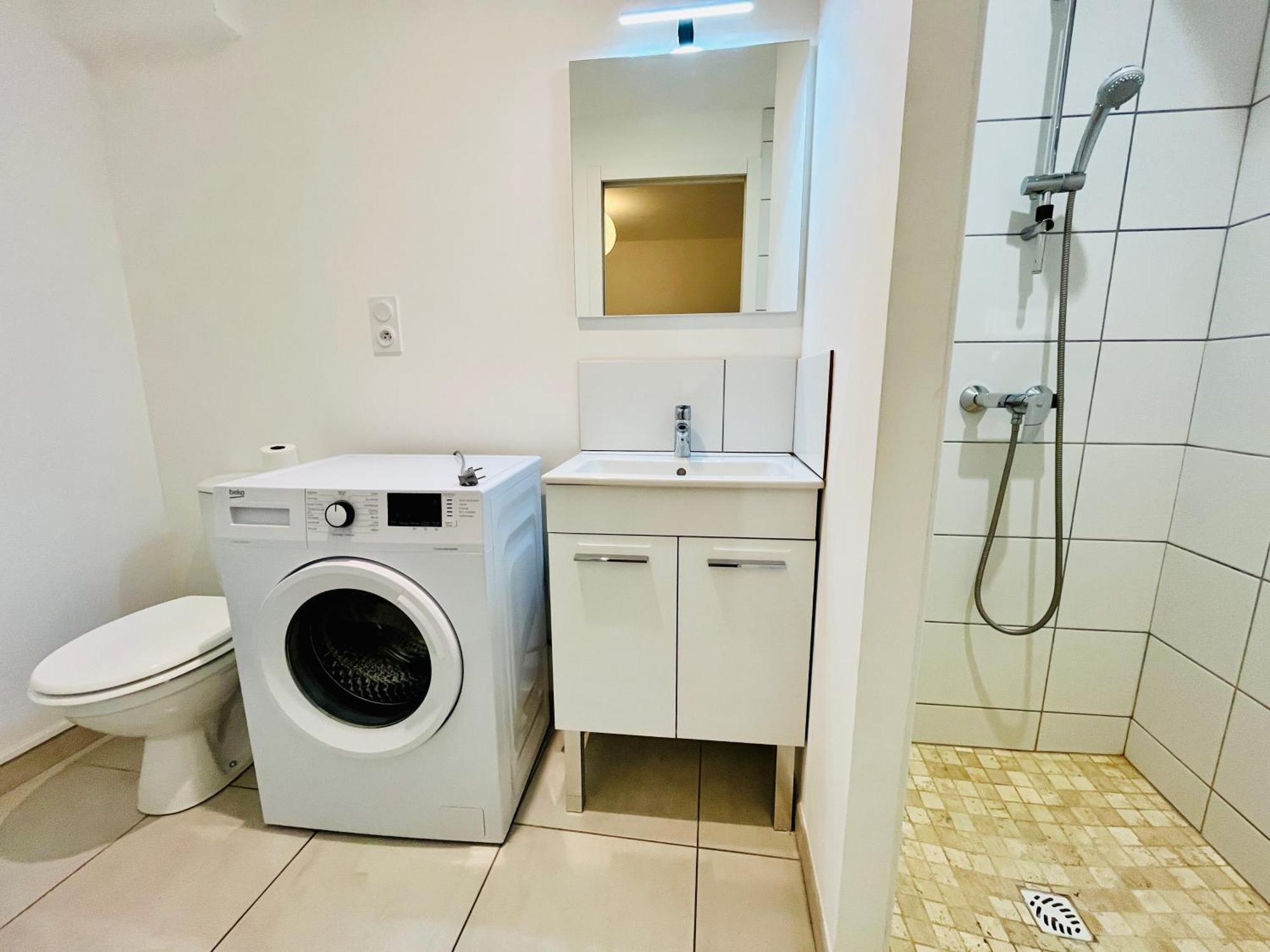 2 Suites, Cour Privee, Climatisation, Le Nid De Blois Vienne Εξωτερικό φωτογραφία