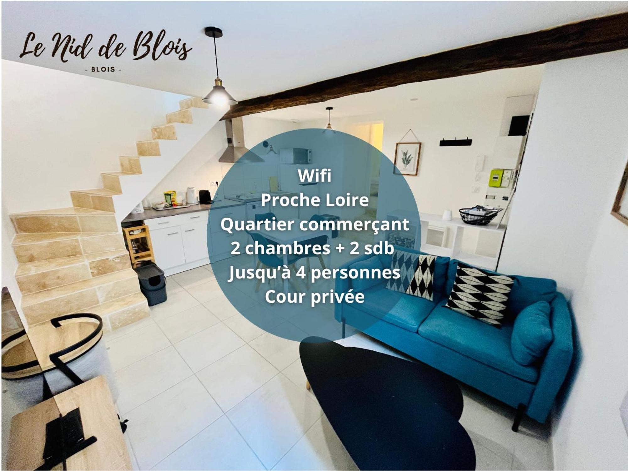 2 Suites, Cour Privee, Climatisation, Le Nid De Blois Vienne Εξωτερικό φωτογραφία